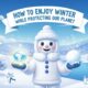 Snowhiter: How to Enjoy Winter While Protecting Our Planet