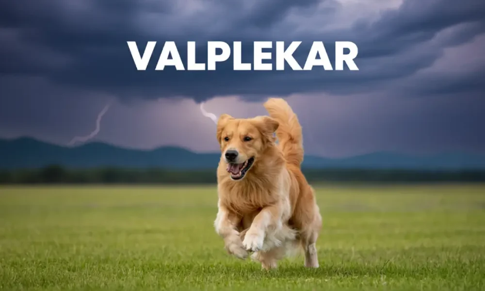 Valplekar: Origins, Significance, and Modern Applications