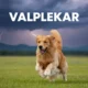 Valplekar: Origins, Significance, and Modern Applications